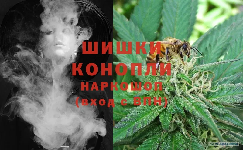 Марихуана SATIVA & INDICA  сколько стоит  Кириши 